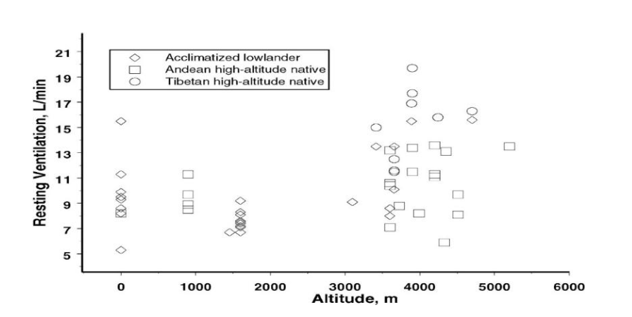 <p>Which group has the lowest resting ventilation at altitude?</p>