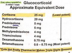 <p>"Cute Hot Pretty Pharmacist Makes Triple Digits Bloom!"</p>