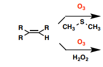 <p>Name the reaction and what is the end product? </p>