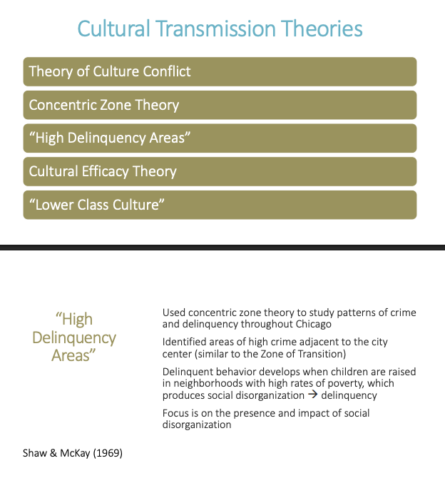 <p>Shaw & McKay used concentric zone theory to study Chicago and found that delinquency clusters in <strong>high-poverty areas near the city center</strong>. These areas produce <strong>social disorganization</strong>, which increases delinquency.</p><ul><li><p>This theory posits that neighborhoods characterized by high levels of poverty, residential instability, and ethnic diversity lead to social disorganization, creating an environment conducive to delinquent behaviors among youth. Shaw and McKay’s research highlighted how these high delinquency areas result from weakened community ties and diminished social control. </p></li></ul><p></p>