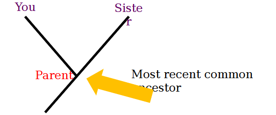 <p>includes all descendants from a common ancestor </p>
