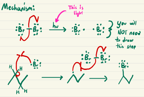 <p>Bromine on most substituted carbon</p>