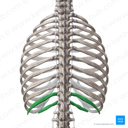 <p>What are these (in green)?</p>