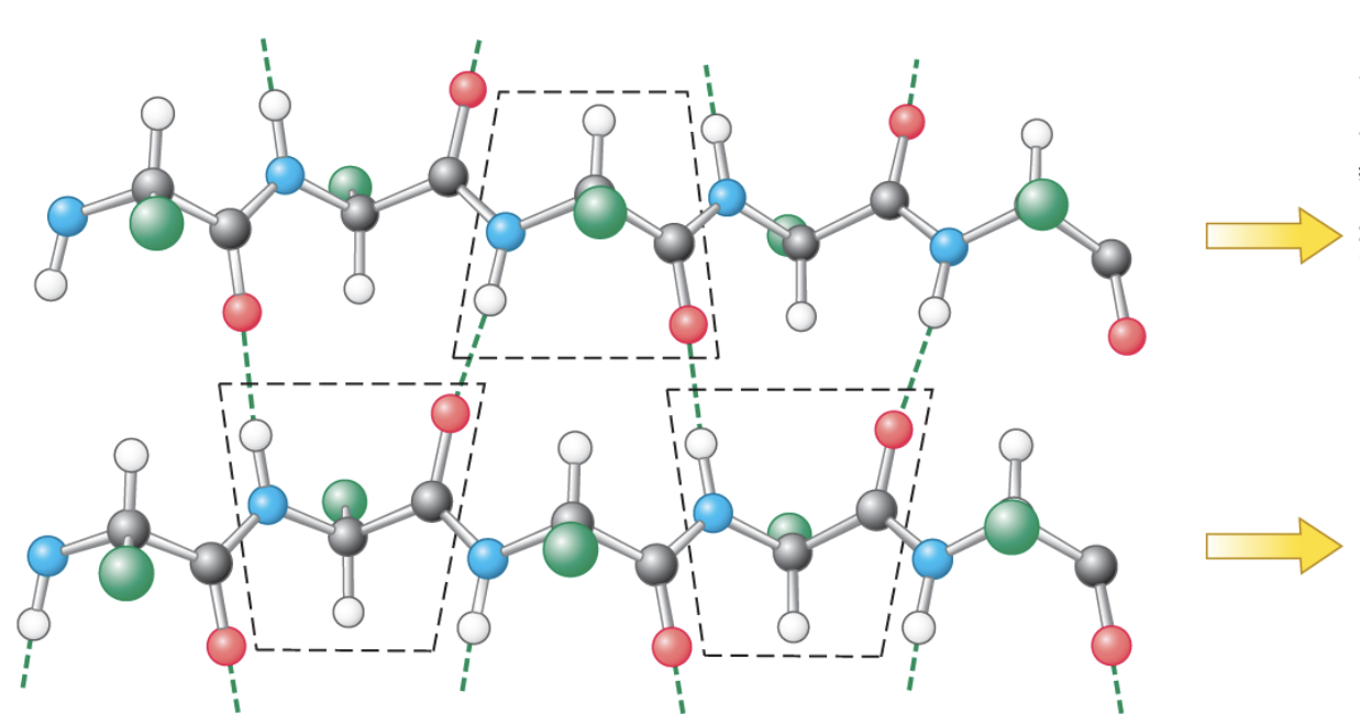 <p>slightly distorted/angled h-bond, 1 amino acid from strand A h-bonds to 2 amino acids on strand B</p>