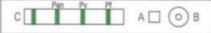 <p>What strain of malaria is this </p>