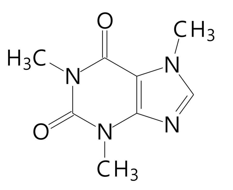 <p>Nootropics and Analeptics</p><p class="has-focus">Diuretics</p>