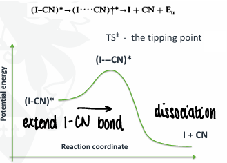 <p>The excited state is created, the I-CN bond is extended to form the TS, which is halfway between the dissociation product.</p><ul><li><p>The ‘tipping point’ energy is reached, this is the point at which the reaction can go in either direction.</p></li></ul><p></p>