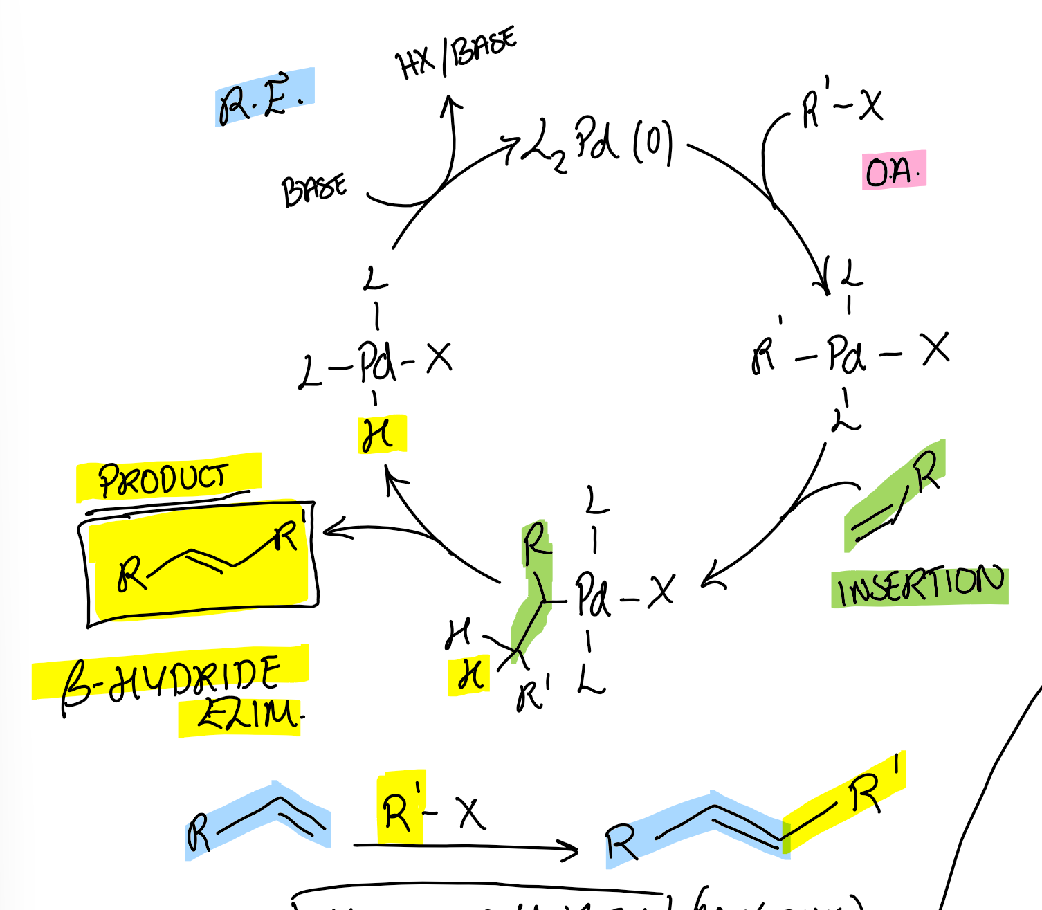 knowt flashcard image