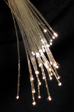 <p>fibre</p>