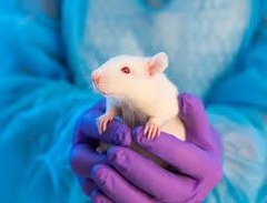 <p>To gather extensive safety and efficacy data through animal studies before human testing.</p>