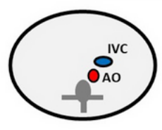 <p>what situs is this </p>