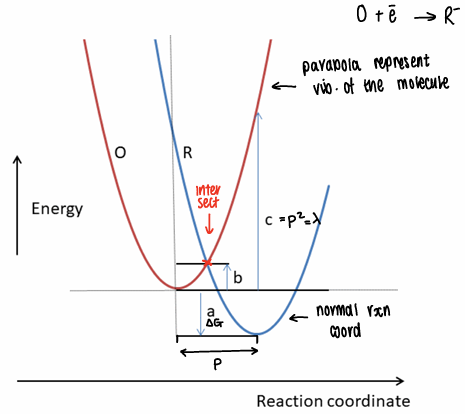 <p>A basic theory to calculate rate of electron transfer.</p><ul><li><p>The parabola represents the vibration of the molecule as an electron passes from a donor (O) to an acceptor (R).</p></li><li><p>The intersect represents the point at which the electron can transfer.</p></li></ul><p>a = <span>ΔG</span></p><p><span>b = activation energy</span></p><p><span>c = reorganisation energy (λ)</span></p>