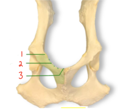 <p>1</p>