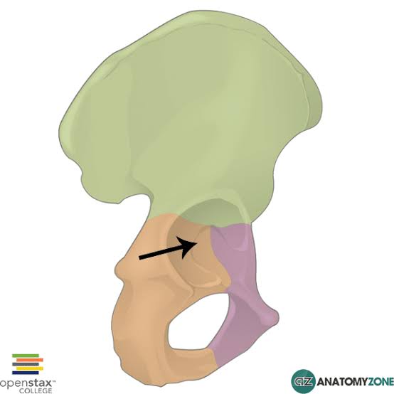 <p>What is the arrow pointing at?</p>