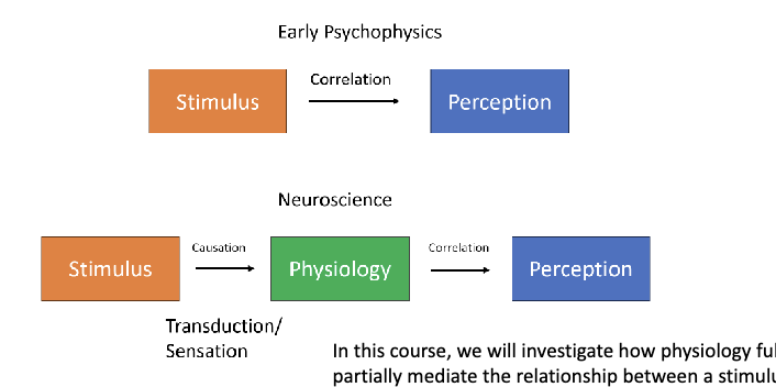 <p>Sensation and perception = A physiological/neurological approach to perception  </p>