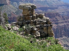 <p>the study of the physical nature, structure, and history of the earth</p>