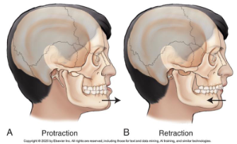 <p>protraction = movement forward from normal position </p><p>retraction = movement backward from normal position, being drawn back</p>