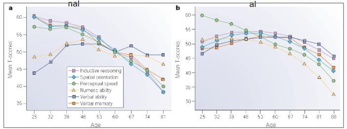 <p>these assess the same people’s cognitive abilities at different time points → these studies often see a much flatter trajectory of cognitive decline, with general abilities (barring perceptual speed) improving slightly in the 30s, and declining in much older age (70s onwards)</p>