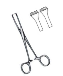 <p><span>Pinzas Allis</span></p>