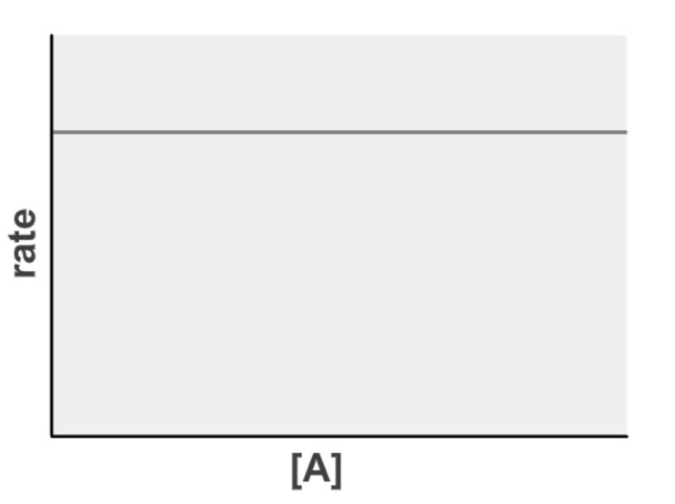 <ul><li><p>changing the concentration of the reactants have no affect on the rate of reaction</p></li><li><p>rate equation: rate a [A]<sup>0</sup></p></li></ul><p></p>