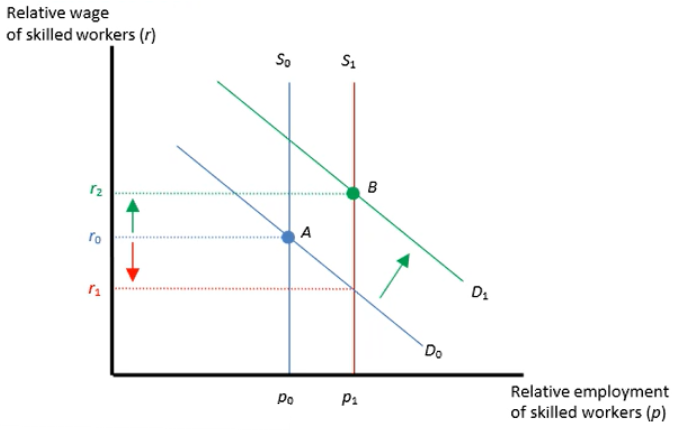 <p>1980s - increase in the supply of skilled workers (S0 to S1) should’ve decreased the wages of skilled workers.</p><ul><li><p>However, due to the even greater shift in demand for skilled workers, wages rose.</p></li></ul><p></p>