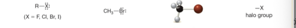 <p>Type of Compound → General Structure → Example → 3-D Structure → Functional Group</p>