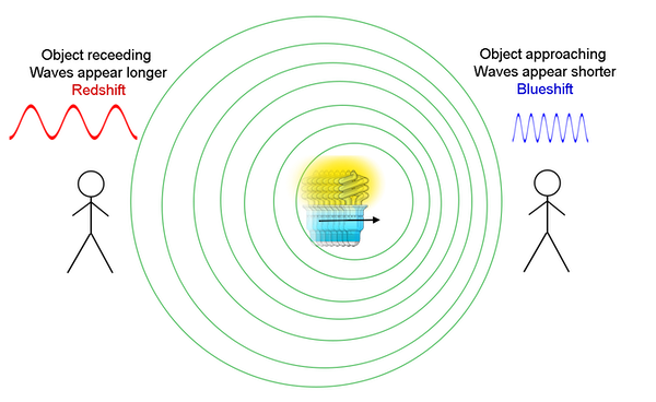 <p>Wavefronts become bunched together in front of the moving source (higher frequency) and spread out behind it (lower frequency).</p>