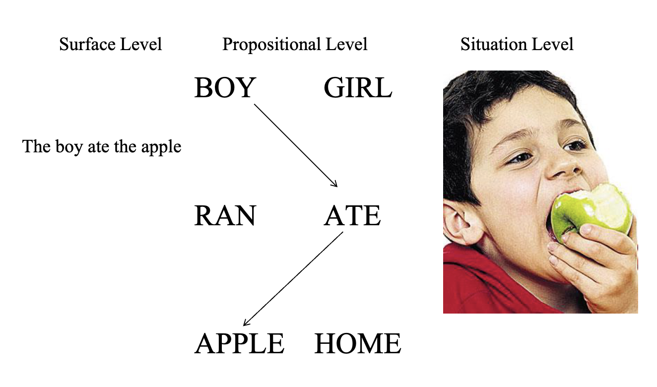 <p>Surface level is the “statement”: the boy ate the apple</p><p>Propositional level is the “key concepts”: boy, ate, apple</p><p>Situation level is seeing it (seeing a boy eating an apple)</p>