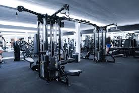 <p><span style="background-color: transparent;">de fitness</span></p>