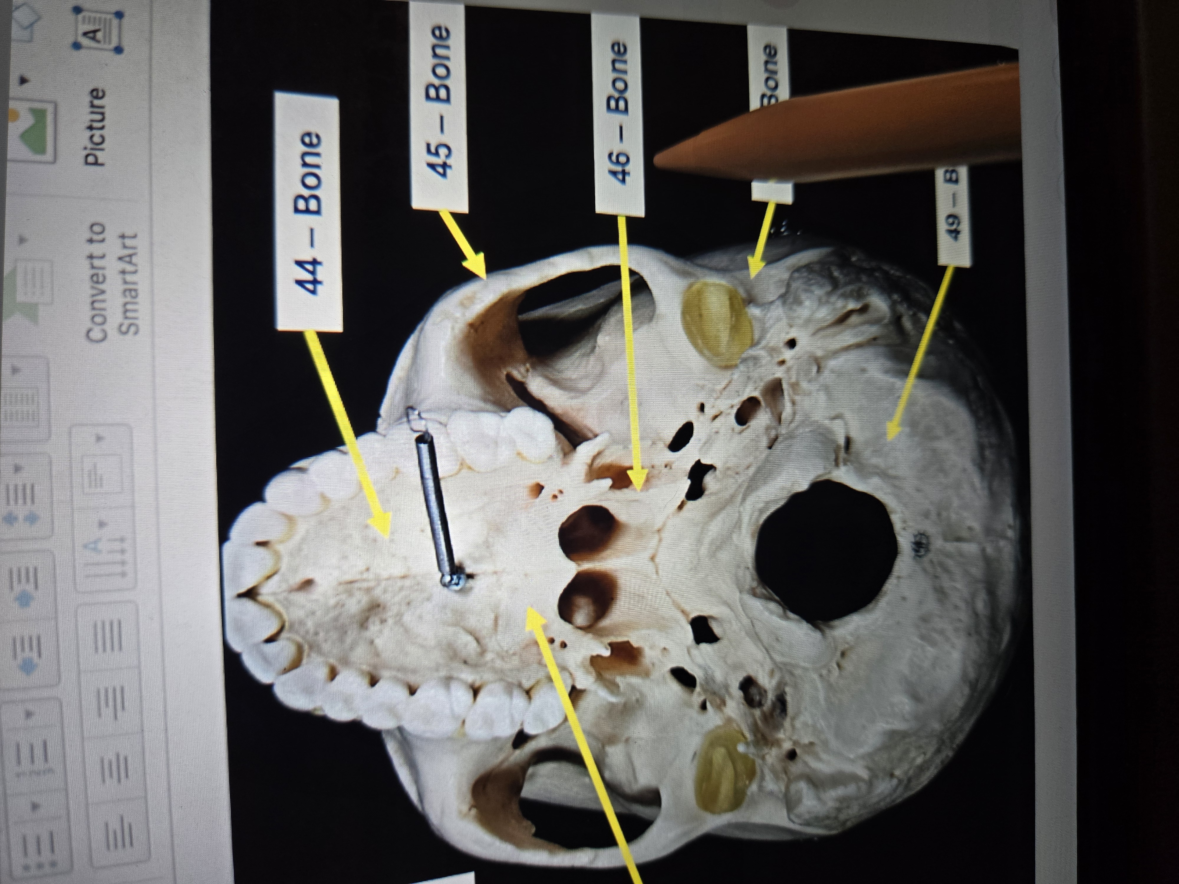 term image