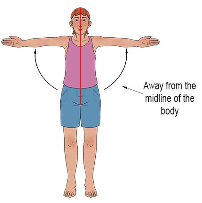 <p>_____ is movement that moves a body part away from the body’s midline.</p>
