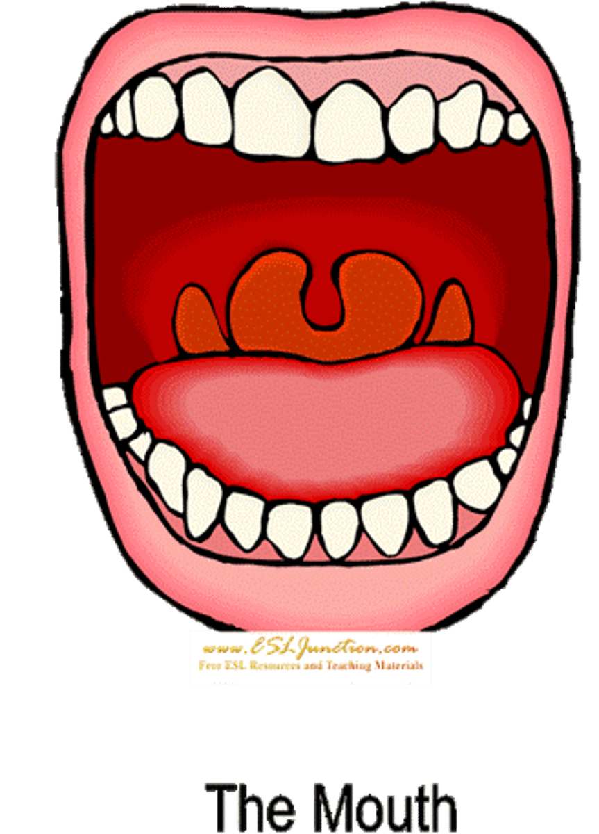 <p>mouth,3n</p><p>os</p>