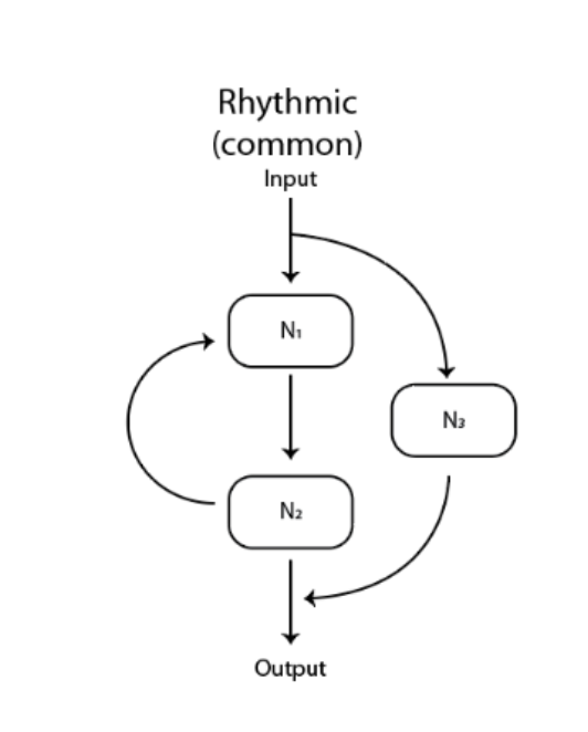 <p>central pattern generator with minimum of 2cells</p><p>complex movement with few cells like running breathing</p>