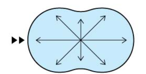 <p>iden the type of light scatter</p>