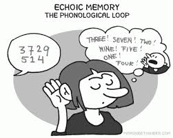 <p>Echoic memory </p>