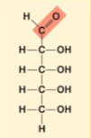 <p>pentose for aldose (C5H10O5)</p>