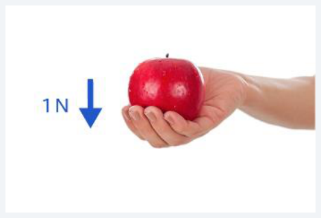<p>The standard unit of force, named after Isaac Newton; $$1\,N$$ is roughly the force of an apple pressing down on your hand.</p>