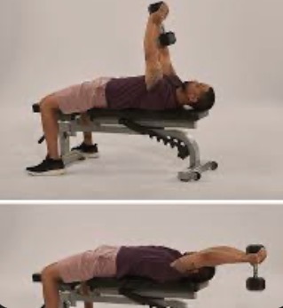 <p>Pullover target muscle and joint action</p>