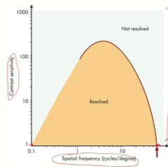 <p>The following graph shows a human contrast sensitivity function. What does it mean on the graph when it says "resolved"?</p>