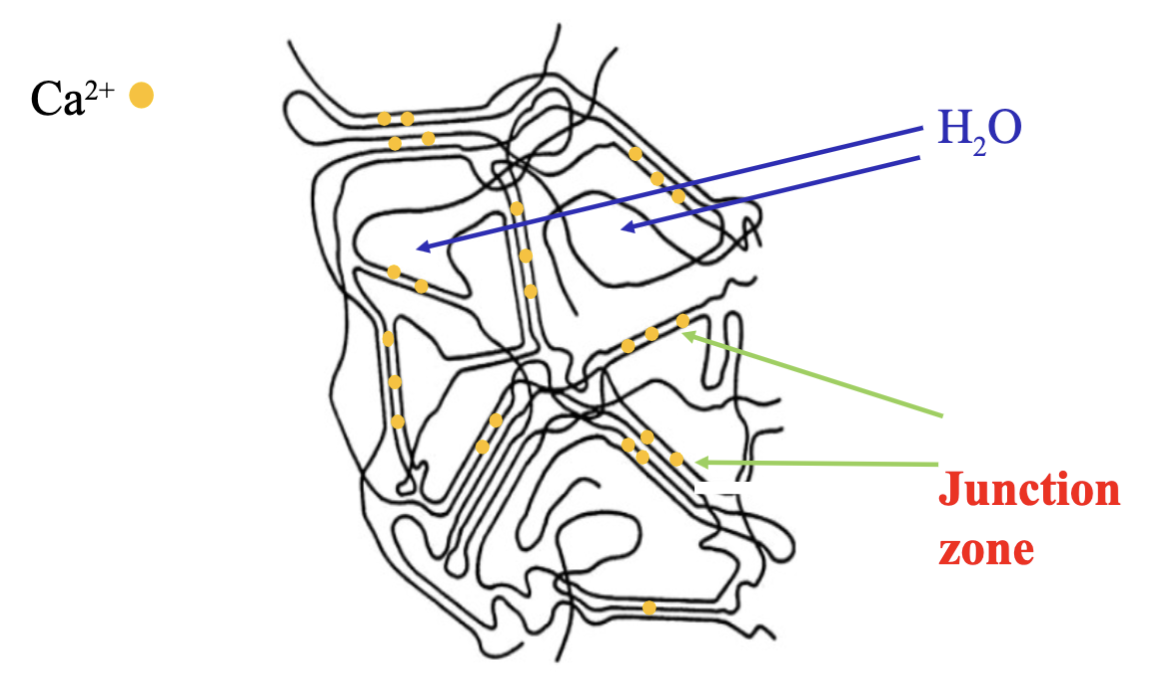 <p>Gel formation:</p><ul><li><p>Pectin is dispersible in water and forms a sol (COOH ionize in water → COO<sup>-</sup> and the water hydrogen bonds forming a stable sol. Water is held in a 3-D network of pectin molecules.</p></li><li><p><strong>Junction zones</strong>: specific regions where two molecules (galacturonic acid) of pectin align and H-bond</p></li><li><p>For a standard gel, pectin concentration in final product must be 0.5% - 1.0%.</p></li></ul><p>Sugar:</p><ul><li><p>decreases water activity and moisture content</p></li><li><p>binds water to pectin preventing free water from leaving the gel</p></li><li><p><span>[sugar]: 65% (HMP), 33-55% (LMP)</span></p></li></ul><p>Acid:</p><p>HM pectins:</p><p>LM pectins:</p><p></p><p>LM pectin is used&nbsp;to make low-sugar jams, jellies, and marmalades.</p><p></p>