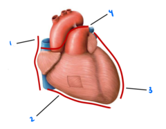 <p>2</p>