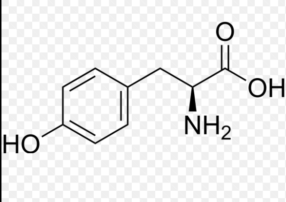 <p>What is this amino acid? </p>