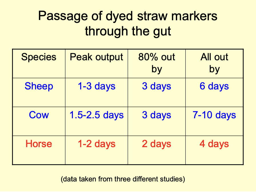 <p><em>note: straw is low nutrition while Hay is high nutriion and green</em></p><p><strong>Result: Hind gut passes it out quicker</strong></p>