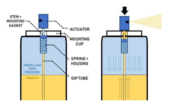 <p>[Parts of Aerosol - Valve Assembly]</p><p>The mechanism by which the actuator retracts</p><p>a. Actuator</p><p>b. Stem</p><p>c. Gasket</p><p>d. Spring</p><p>e. Mounting Cup</p><p>f. Housing</p><p>g. Dip Tube</p>