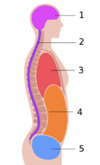 <p>#1</p>