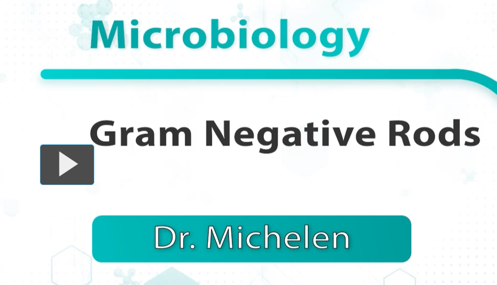 <p>it’s the same video from Gram-Negative Bacilli (Urinary Tract-Resp Tract)</p>