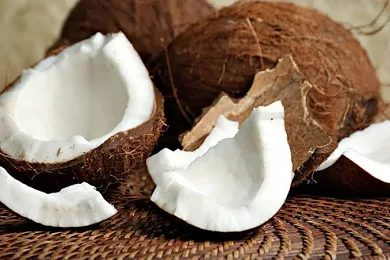<p>el coco</p>