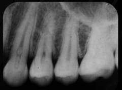 <p>What is this an example of?</p>