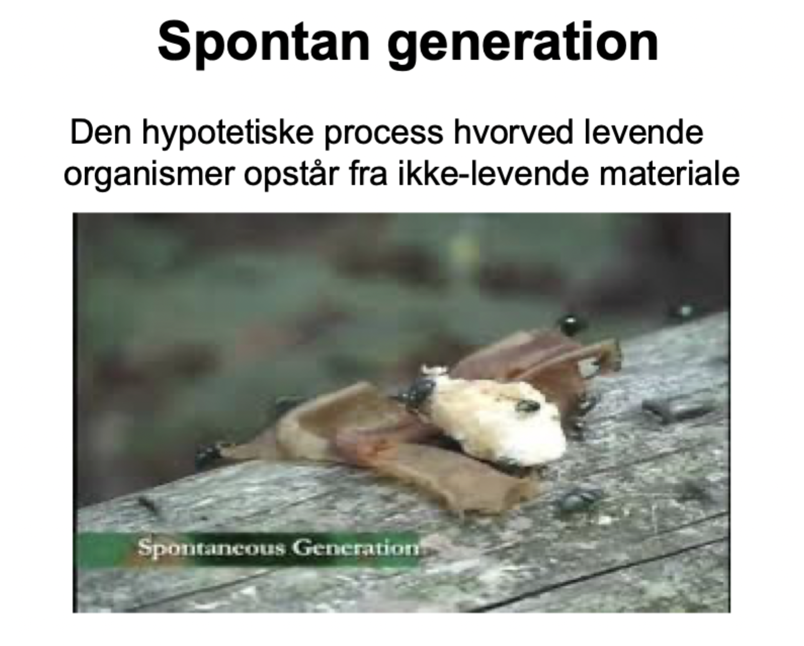 <p><span>Troen på, at levende organismer kan opstå spontant (ud af det blå) fra ikke-levende materiale.</span></p>