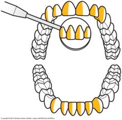 <p>11:00 to 12:00</p>